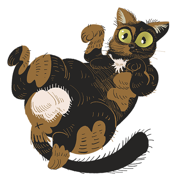 A tortoiseshell (black and brown-orange) patterned cat named Gizmo rolling on her back playfully.