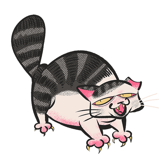 A raccoon-like gray and white tabby cat named phillip